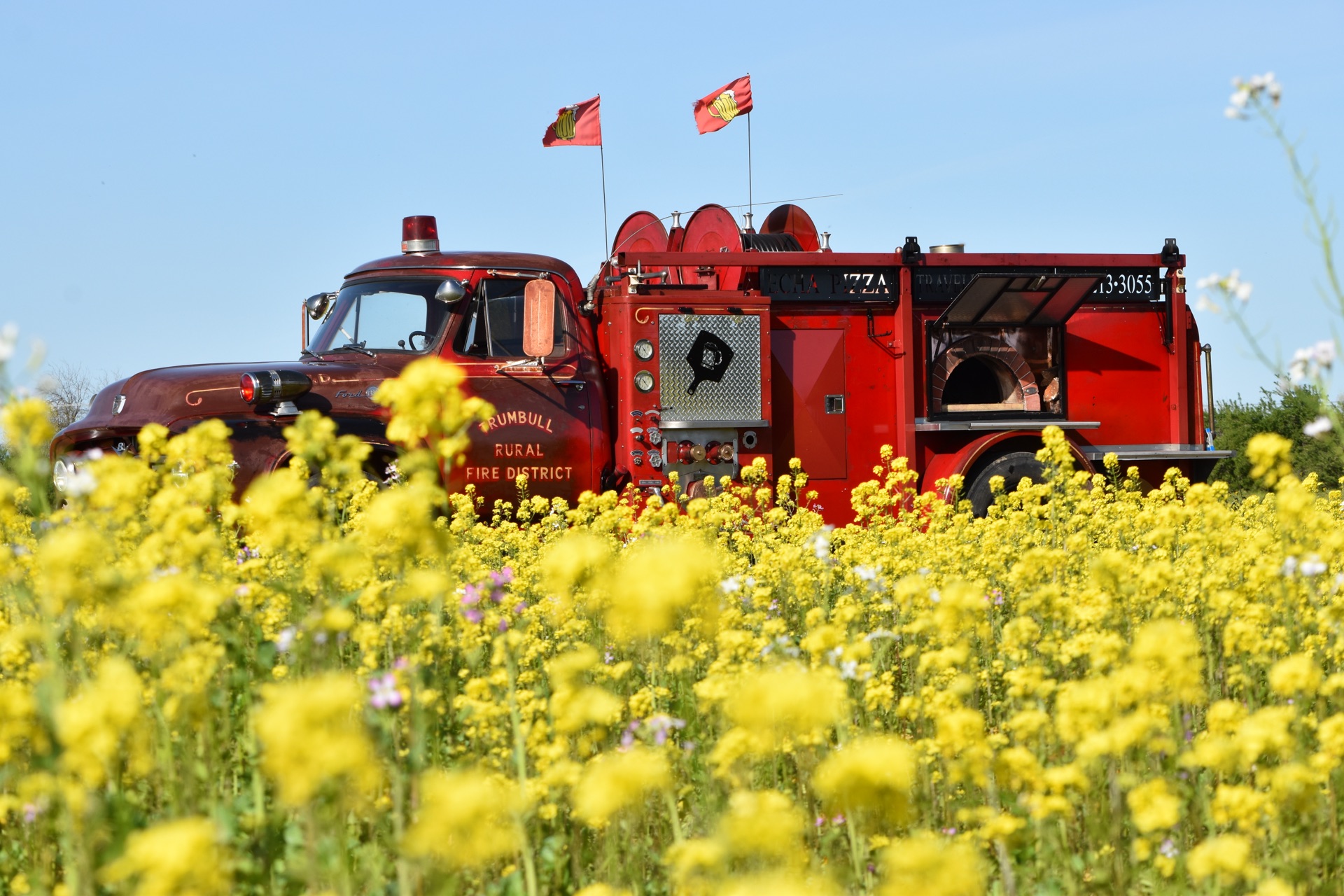 Echa Pizza fire truck in a flower field